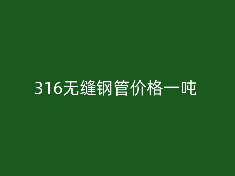 316無縫鋼管價(jià)格一噸 