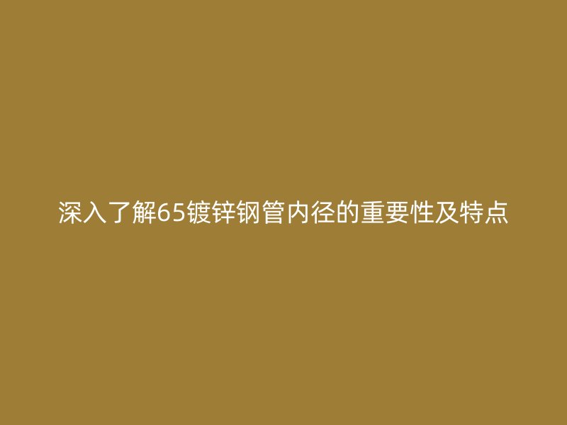 深入了解65鍍鋅鋼管內(nèi)徑的重要性及特點(diǎn)